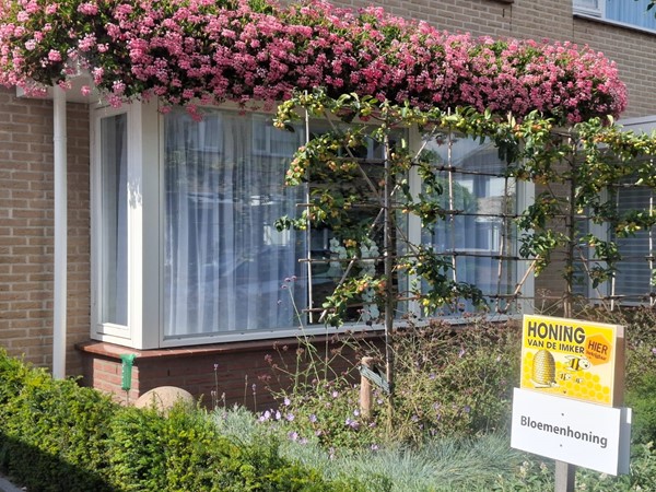 Medium property photo - Graaf van Bentheimlaan 14, 3927 DE Renswoude